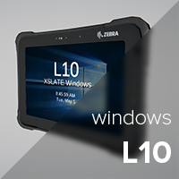 L10 Windows