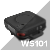 ws101
